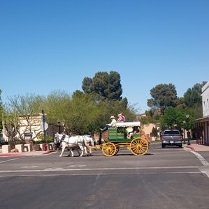 Meet your Posher, Patricia